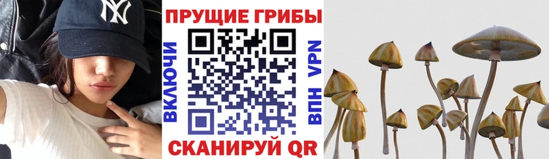 Псилоцибиновые грибы ЛСД  Купить закладки  Коммунар 